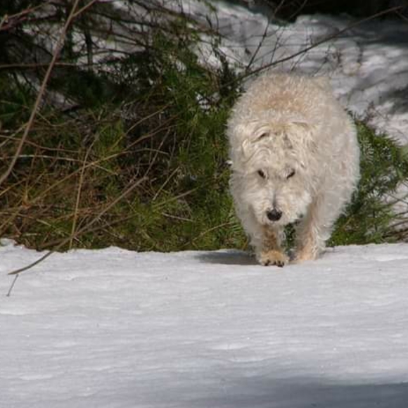 Meet your Posher, Mary - Picture 8 of 8